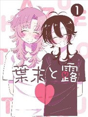《钢之炼金术师》封面